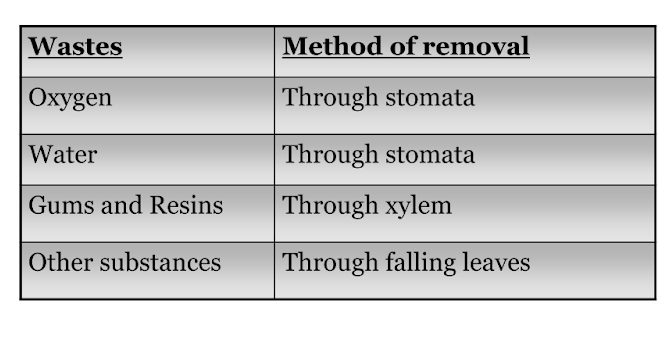 A tabular representation of excretion system in plants from the chapter - Transportation In Plants And Animals