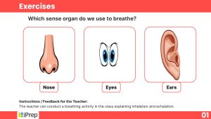 preschool content worksheet subject health and physical wellbeing chapter exercises