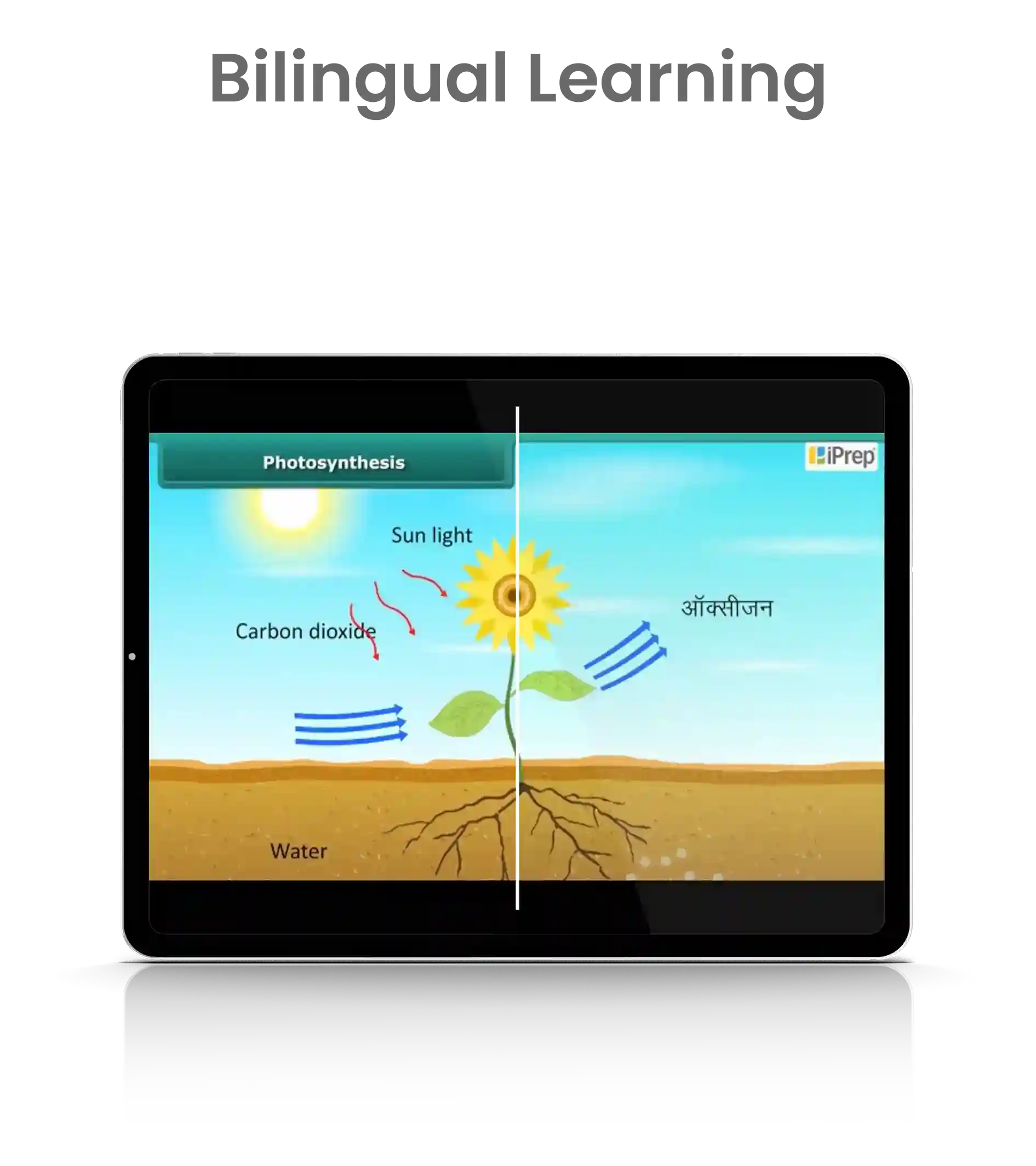 Bilingual Learning App image