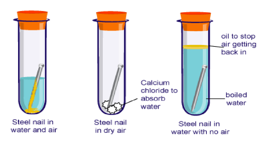 A visual representation of the rusting of metal from class 7th Science Chapter 5 Physical And Chemical Changes