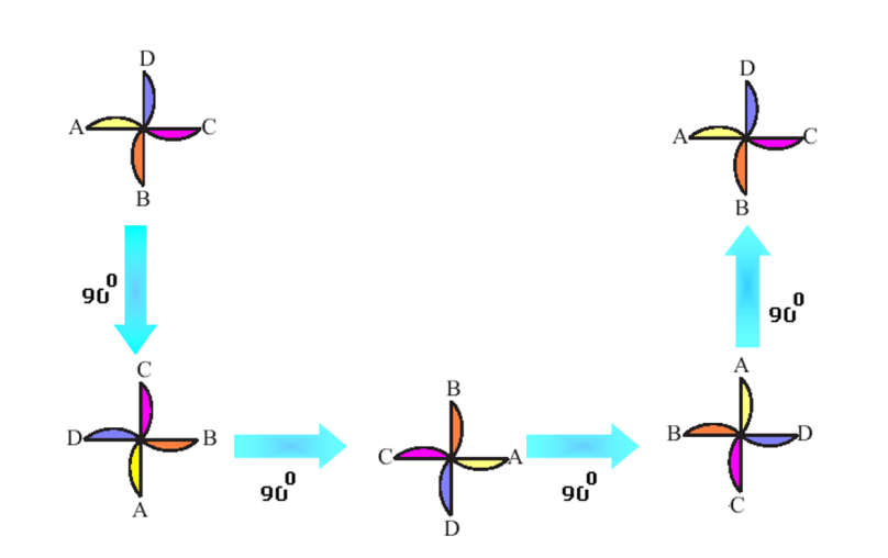 A visual representation of angle of rotation from class 7 Math Chapter 12 - Symmetry