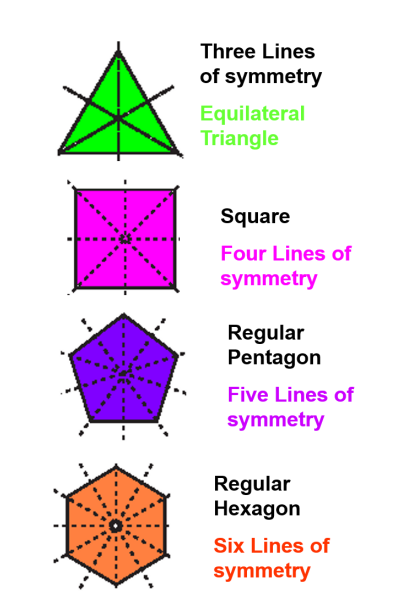 An illustration of multiple lines of symmetry from class 7 math chapter 12 - Symmetry