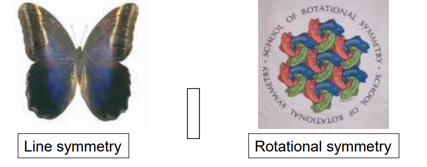 A visual representation of Line Symmetry and Rotational Symmetry from class 7 Math Chapter 12 - Symmetry