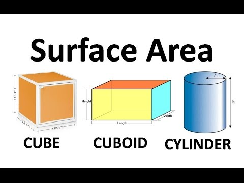 A visual representation of surface are area of 3D figures from class 8 chapter 11 - Mensuration