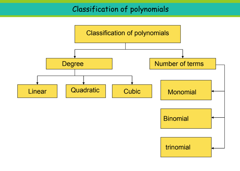 a tabular representation of classification of polynomials from class 9 math