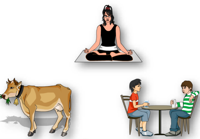 a visual representation of various types of matter in our surroundings in various forms