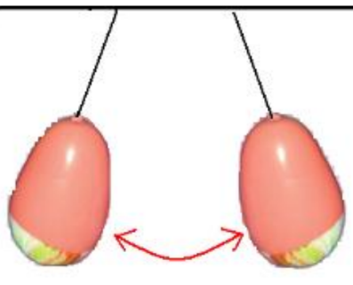 a visual representation of unlike charges from class 8th science chapter 12 - some natural phenomenon