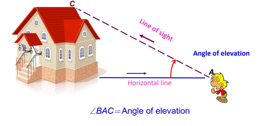 A visual of angle of elevation, an example of applications of trigonometry from class 10 math