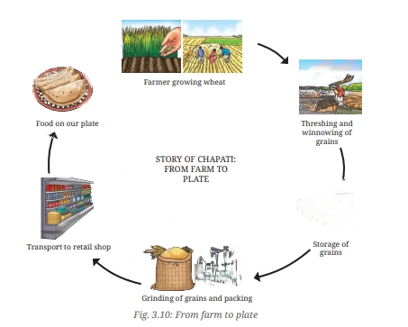 A visual of the food miles from farm to plate from Mindful eating - a chapter of class 6 science