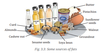 a visual representation of some sources of fats from class 6 science chapter 3 - Mindful Eating