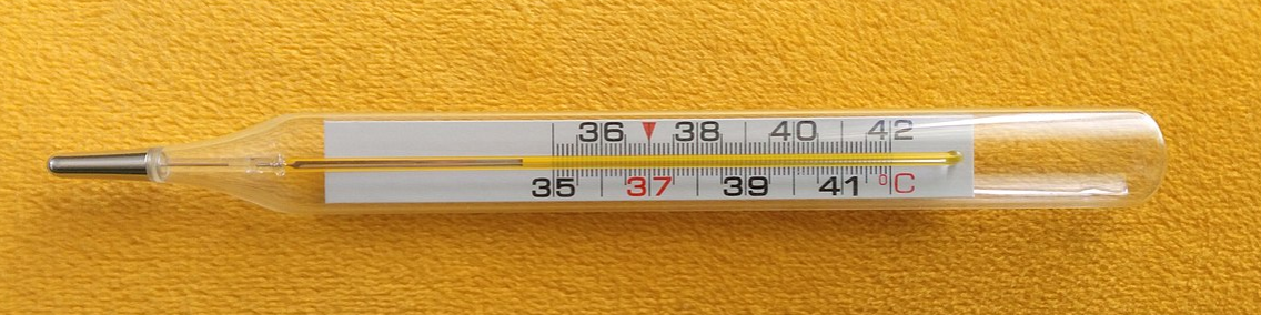 A visual of a Laboratory Thermometer from class 6 science chapter 7 - Temperature and its measurement