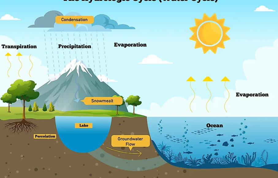 a visual of the complete water cycle giving a clear glimpse of all states of water form class 6 science chapter 8