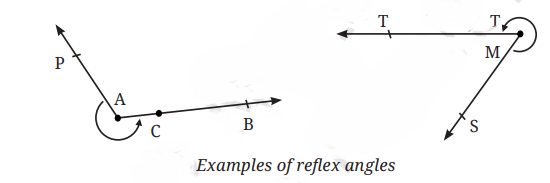 example of reflex angles from class 6th math chapter 2- lines and angles