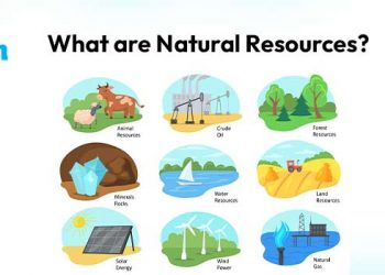 a visual representation of natural resources from class 8 geography chapter 1 - resources