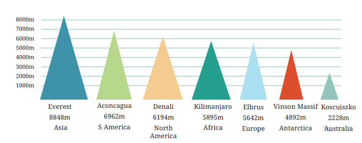 a visual illustration of infographics from the chapter data handling and presentation
