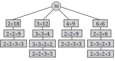 An illustration of prime factorization from the chapter prime time from class 6 math