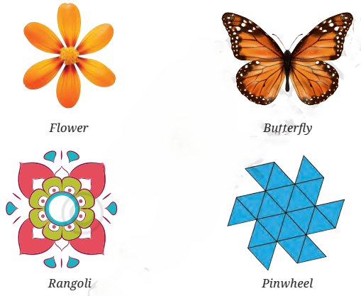 a beautiful representation of symmetry in everyday objects from class 6 math chapter 9 - Symmetry