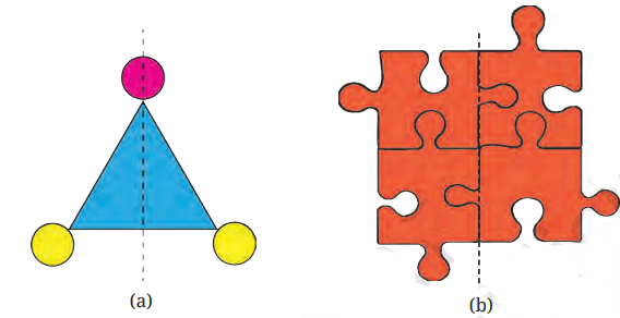 a visual representation of line of symmetry from class 6 math chapter  9 - Symmetry