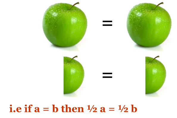 a visual representing that halves of equals are also equal from class 9 math chapter 5 - Euclid's geometry