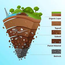 A visual illustration of soil from geography class 8 Chapter 2 - Land, Soil, Water, Natural Vegetation and Wildlife Resources