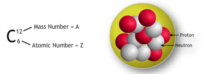 a visual representation of atomic number and mass number from class 9 science chapter 4 - Structure of the atom