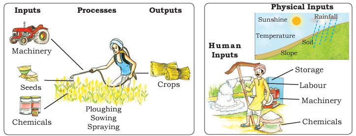 a visual illustration of the farm system from class 8 geography chapter 3- Agriculture