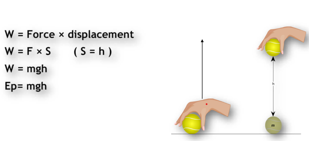 an illustration of how gravitational potential energy gets converted into kinetic energy from class 9 science chapter 10 - Work and Energy