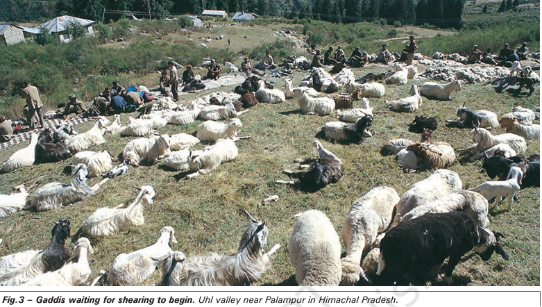 a visual of pastoral nomads and their movements from class 9 history chapter 5 - Pastoralists in the Modern World