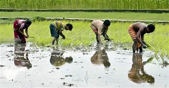 A visual showcasing monsoon as a unifying bond from class 9 geography chapter 4 - Climate