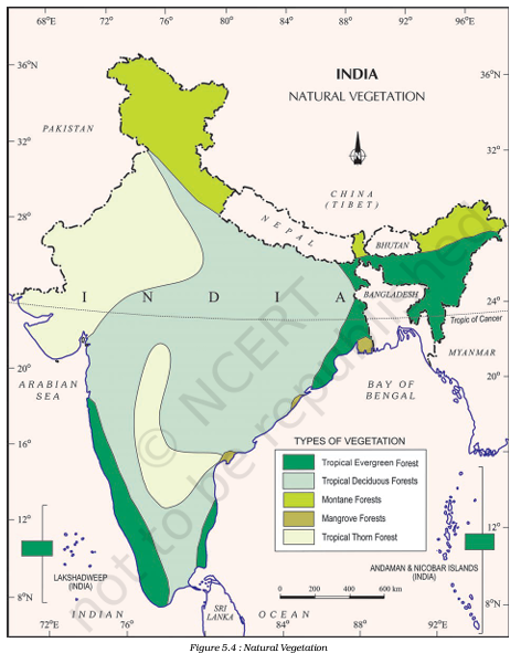 A visual of India's map showcasing India's Natural Vegetation distribution across the land from class 9 geography chapter 5 - Natural Vegetation And Wildlife.