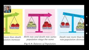 a visual representation of balance of Population from class 8 geography chapter 5 - human resources