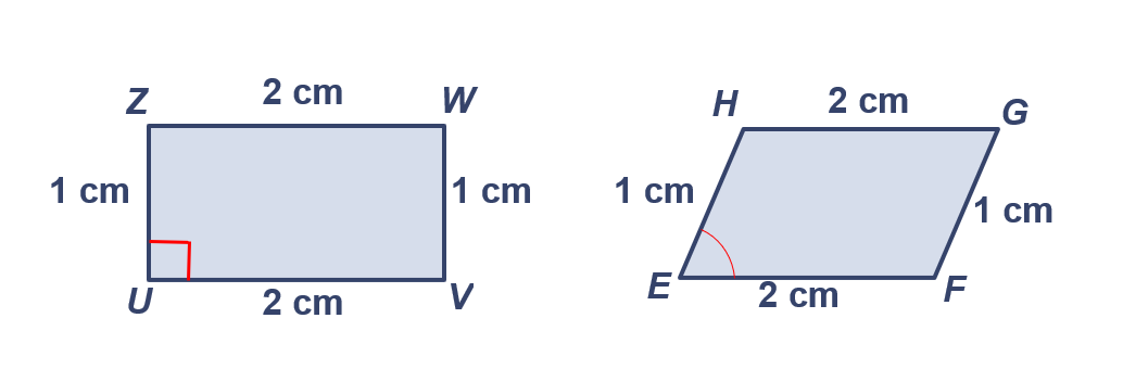 a visual of similar quadrilaterals from the chapter triangles from class 10 math