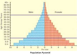 a visual representation of Population Pyramid differentiated based on age and sex from class 8 geography chapter 5 - human resources