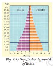 a visual representation of Population Pyramid Of India from class 8 geography chapter 5 - human resources