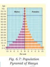 a visual representation of Population Pyramid of Kenya from class 8 geography chapter 5 - human resources