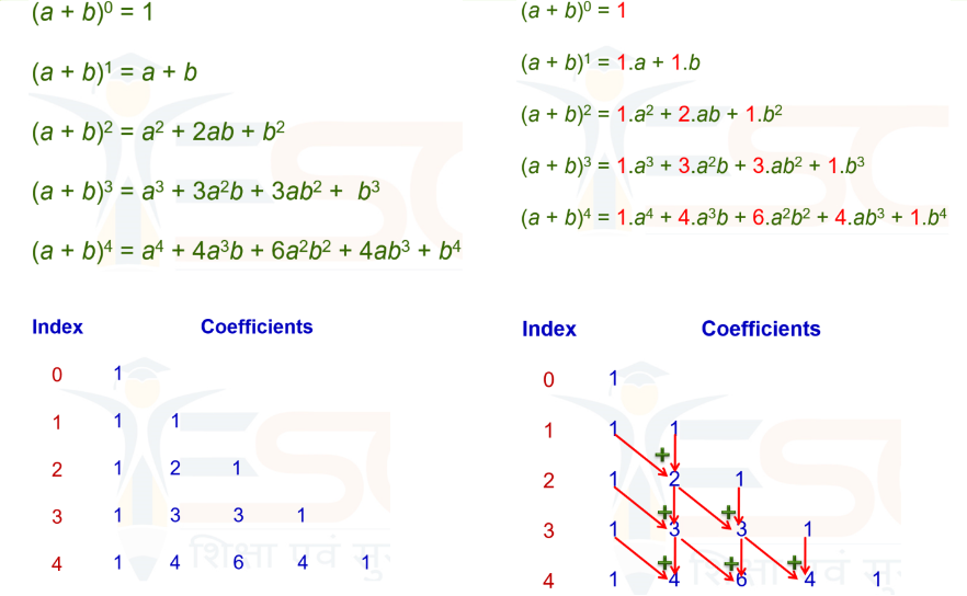 a visual depicting the Binomial expansions from class 11 math chapter 7 - binomial theorem