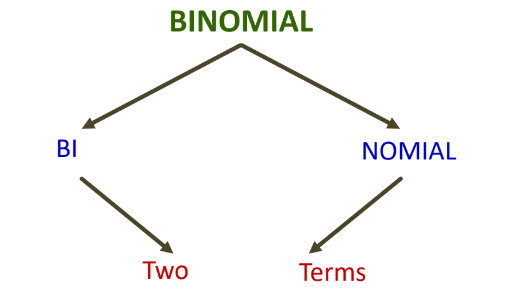 a visual depicting the breakdown of the term Binomial from class 11 math chapter 7 - binomial theorem