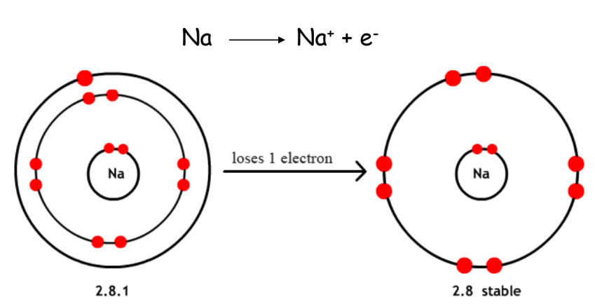 a visual depicting the characteristics of metals from class 10 science chapter 3 - Metals and non-metals