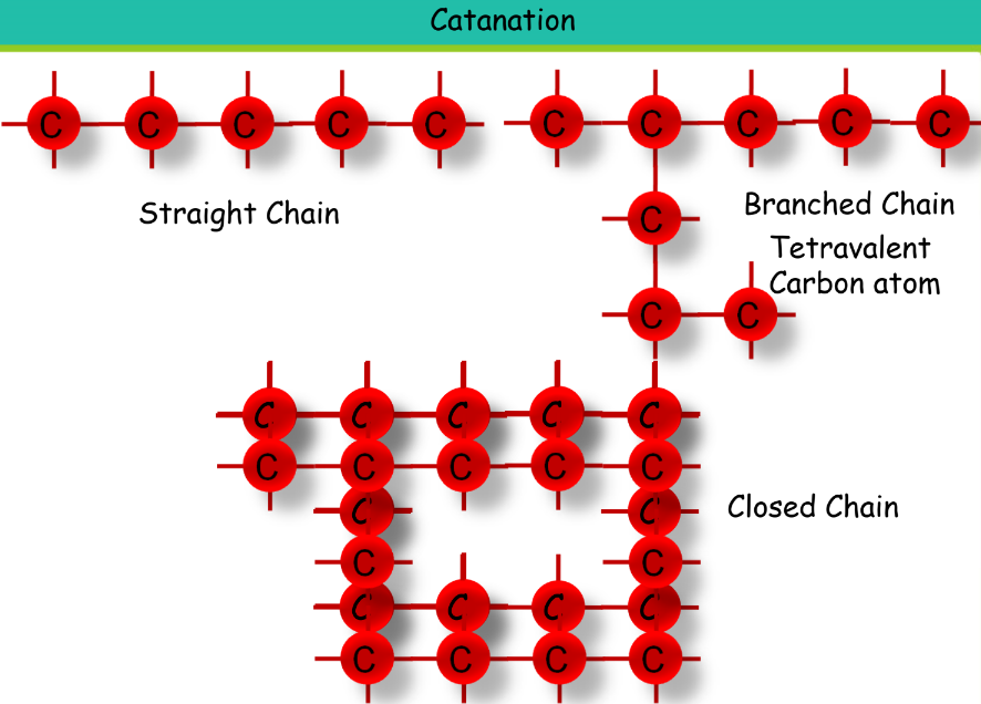 A visual Catanation from class 10 science chapter 4 - Carbon and its compounds