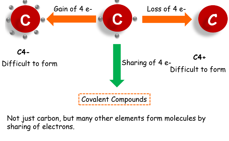 A visual of how carbon shares electrons to form covalent bonds from class 10 science chapter 4 - Carbon and its compounds