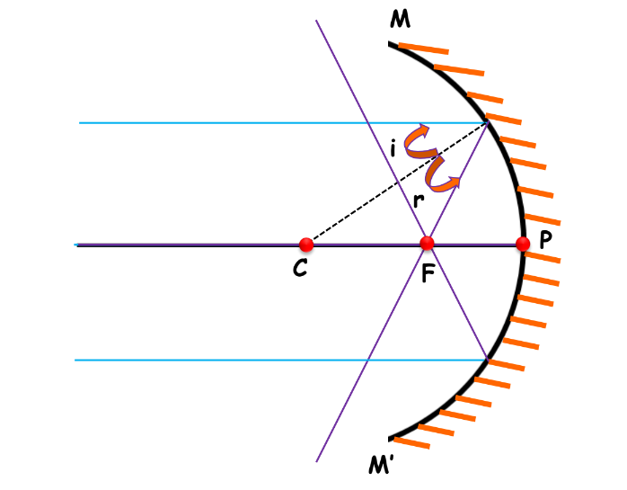 A visual representing the types of spherical mirrors from class 10 science chapter 9 - Light – Reflection and Refraction