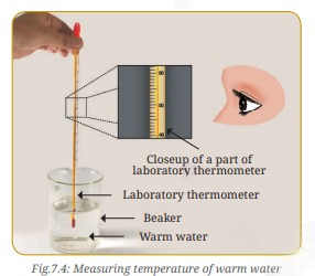 A visual representation of how to measure the temperature of hot water from class 6 science chapter 7 - Temperature and its Measurement