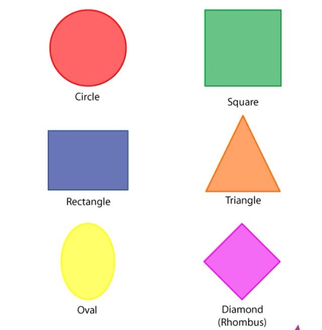 a visual of the basic shapes around us chart from class 2 math chapter 2 - Shapes Around US