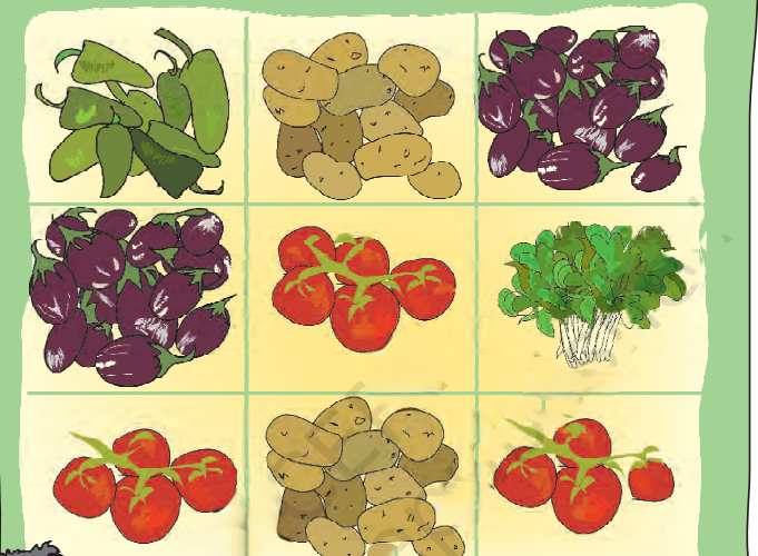 A visual representation of the example of Ramu's vegetable field from class 5 math chapter 4 - Parts and Wholes