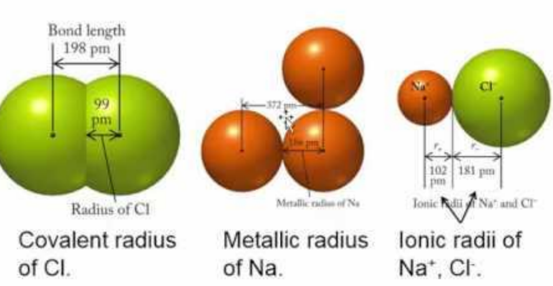 The visual representation of covalent radius, metallic radius, and ionic radii from class 11 chemistry chapter 3 - Classification of Elements and Periodicity in Properties