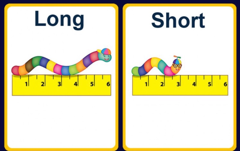 A visual representation of Long and Short From class 4 math chapter 2 