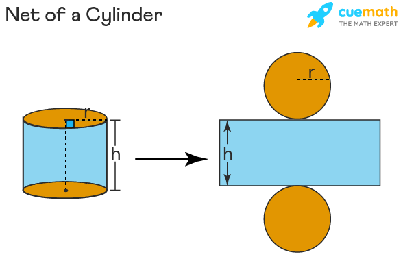 A visual representation of net of a cylinder from class 4 math chapter 5 - The Way The World Looks