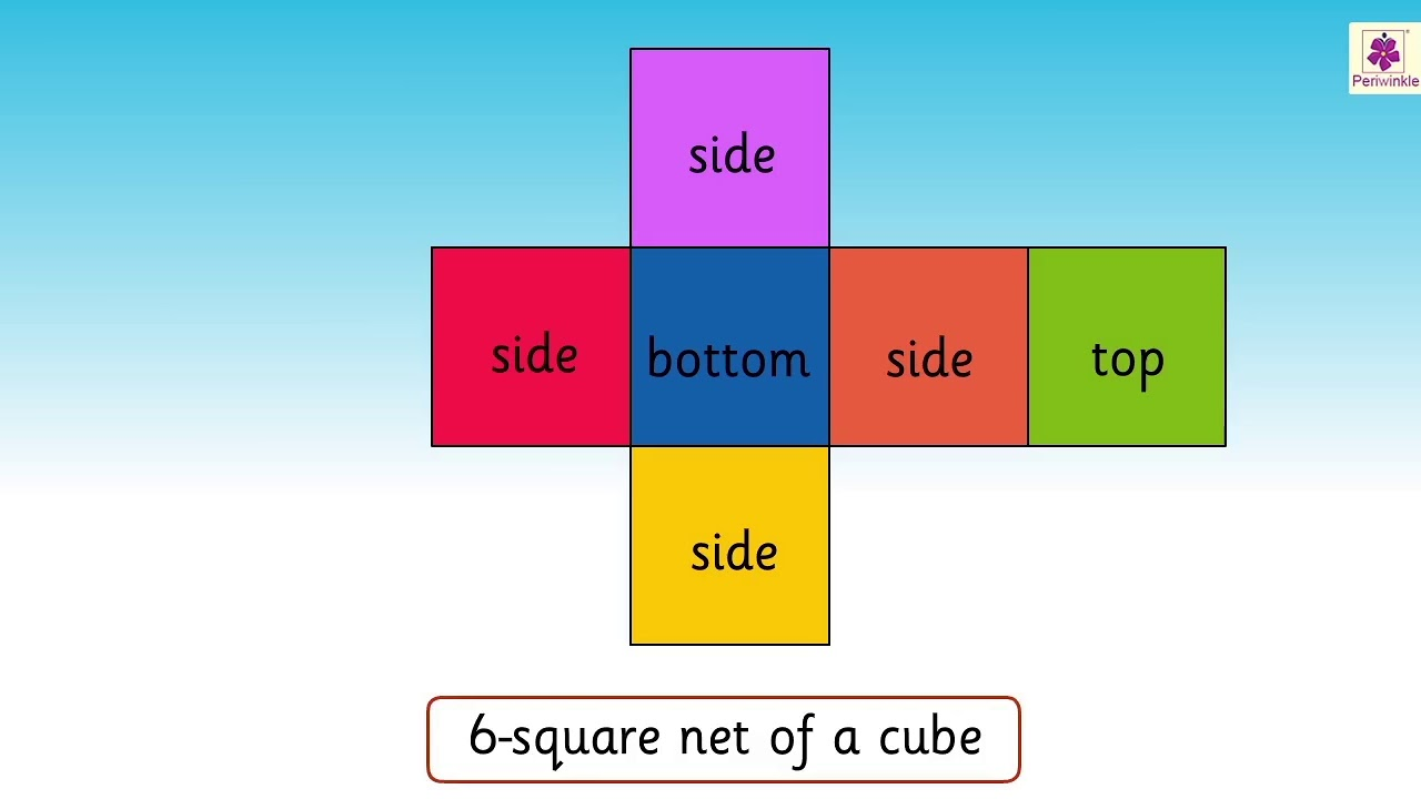 A visual representation of 6-square a net of a cube from class 4 math chapter 5 - The Way The World Looks