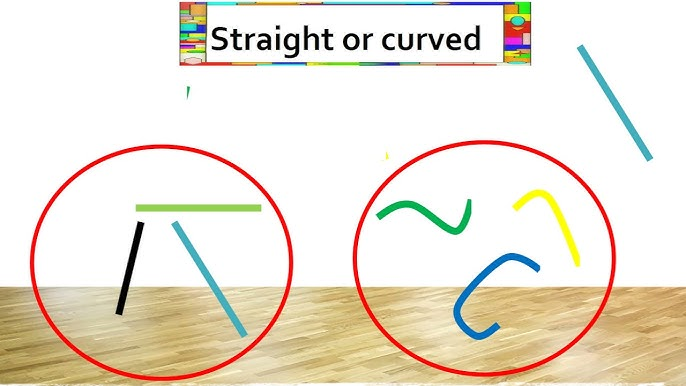 a visual representation of various curved and straight shapes from class 3 math chapter 5 - Fun With Shapes