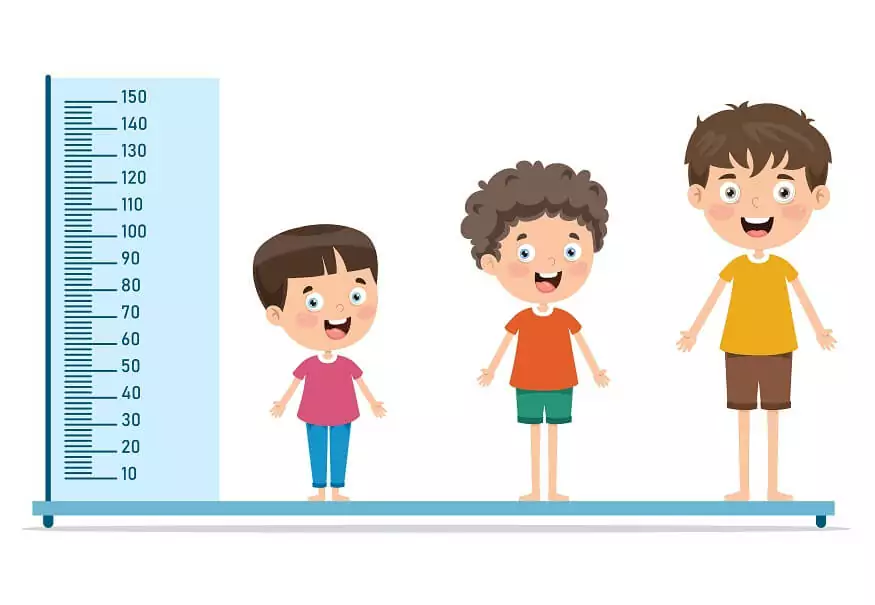 A visual of measuring height with a huge ruler from class 3 math chapter 10 - Fun At Class Party